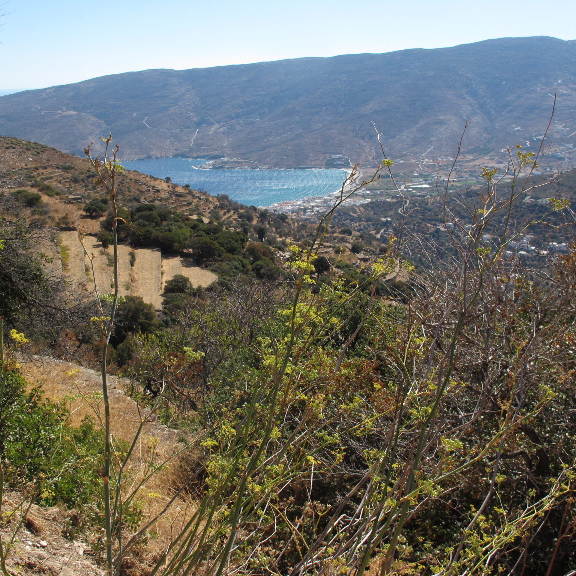 2017 - okt - Andros en Athene 056